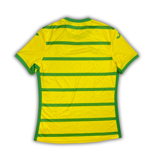 Norwich City 2023/24 Home Shirt (BNWT) - Size XL
