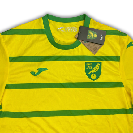 Norwich City 2023/24 Home Shirt (BNWT) - Size XL